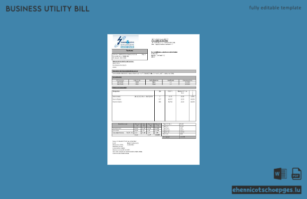France Energies and Services Regie Municipal d'Electricité Sarre-Union Stromrechnungsbeispiel für Geschäftskunden